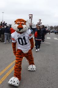 Aubie the Tiger